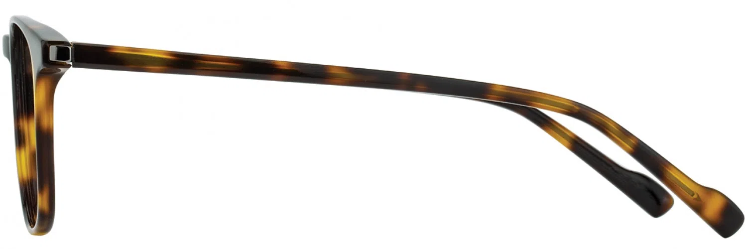Scott Harris UTX SHX010 Eyeglasses - view 8